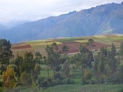 machupicchu from (520)